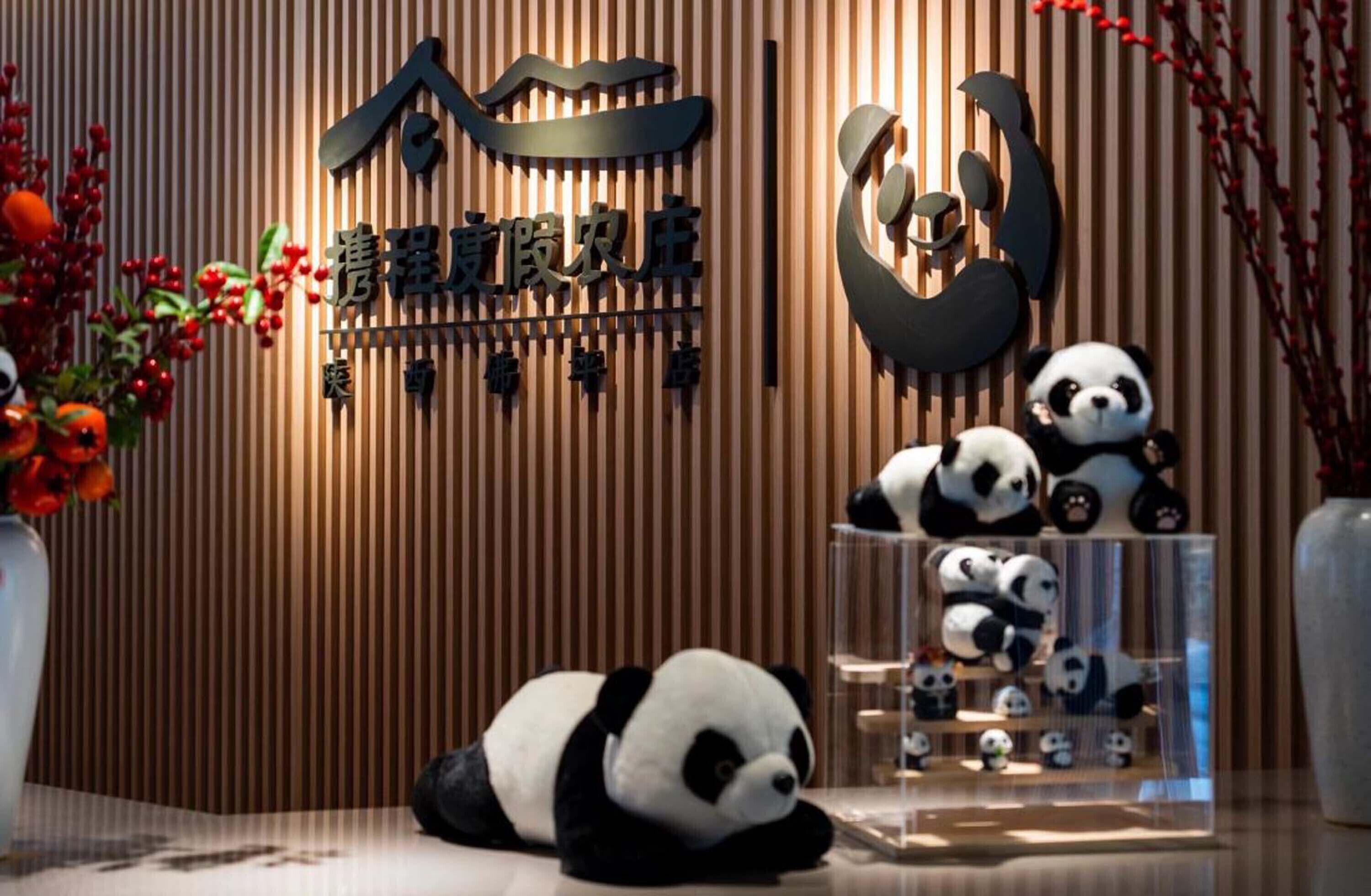 A reception area with a wooden panel wall, a large panda sculpture, and multiple panda plush toys displayed in a transparent case.