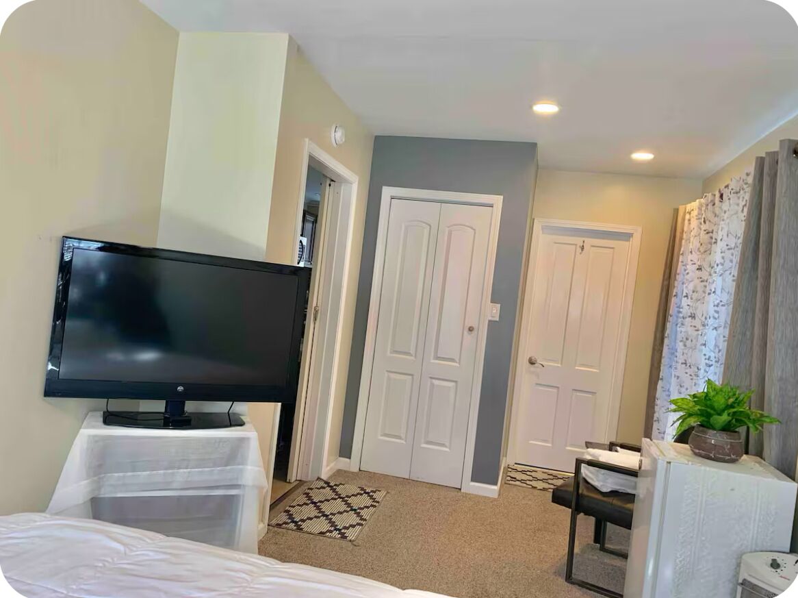 A hotel room with a bed, a television on a stand, a desk with a chair, a potted plant, and a door.