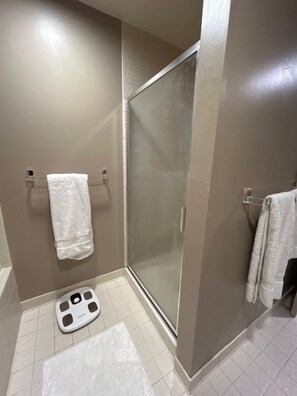 Hair dryer, towels, soap, toilet paper