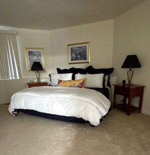 3 bedrooms, iron/ironing board, free WiFi, bed sheets - Lots of snow! Ski, snowshoe/ heated pool
- fabulous in beautiful Stockbridge (West Stockbridge)