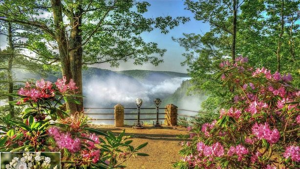 A scenic outdoor area with a stone bench, lush greenery, and flowering plants. - Fountain View III- Historic Apartment Steps Away from Wellsboro Main St and Park (Wellsboro)