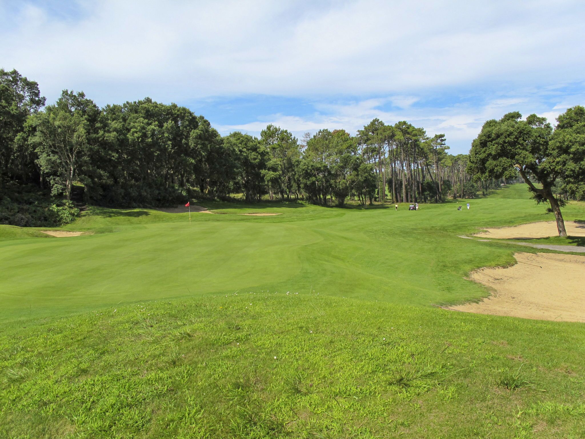 En golfbane med en velholdt green, sandbunkere og et flag der markerer hullet.
