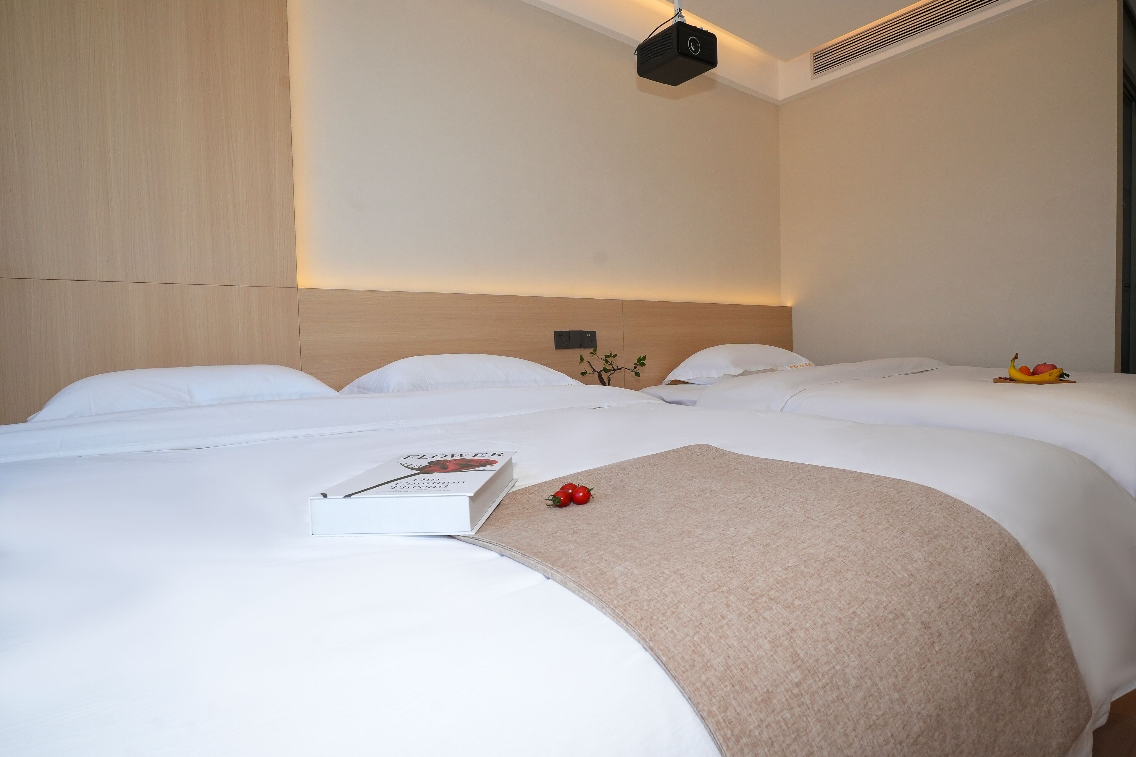 Chambre Familiale Double ou avec lits jumeaux, vue colline | Literie de qualité supérieure, couette en duvet d'oie