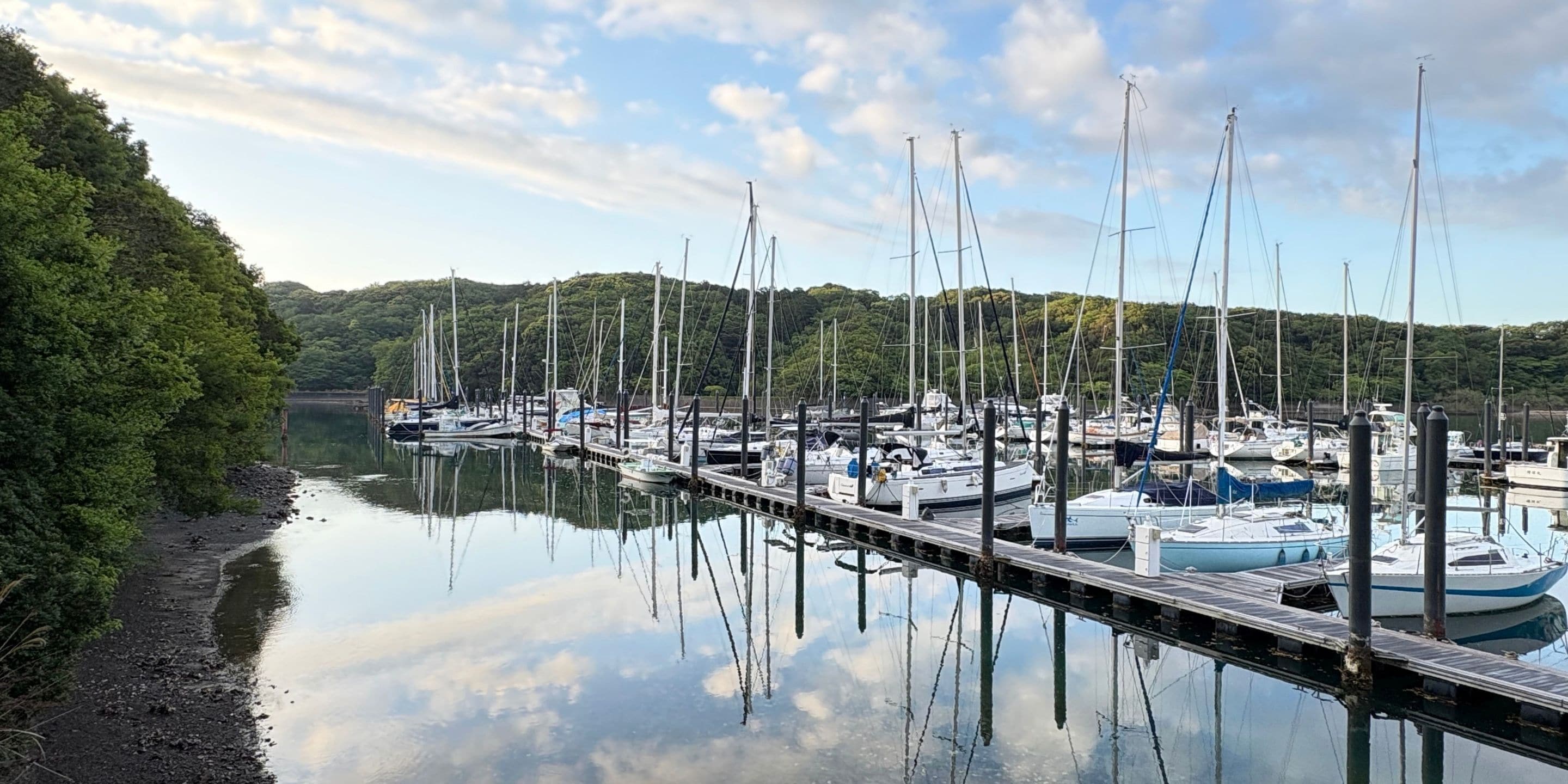 Un port de plaisance où sont amarrés de nombreux bateaux, entouré d’une zone boisée.
