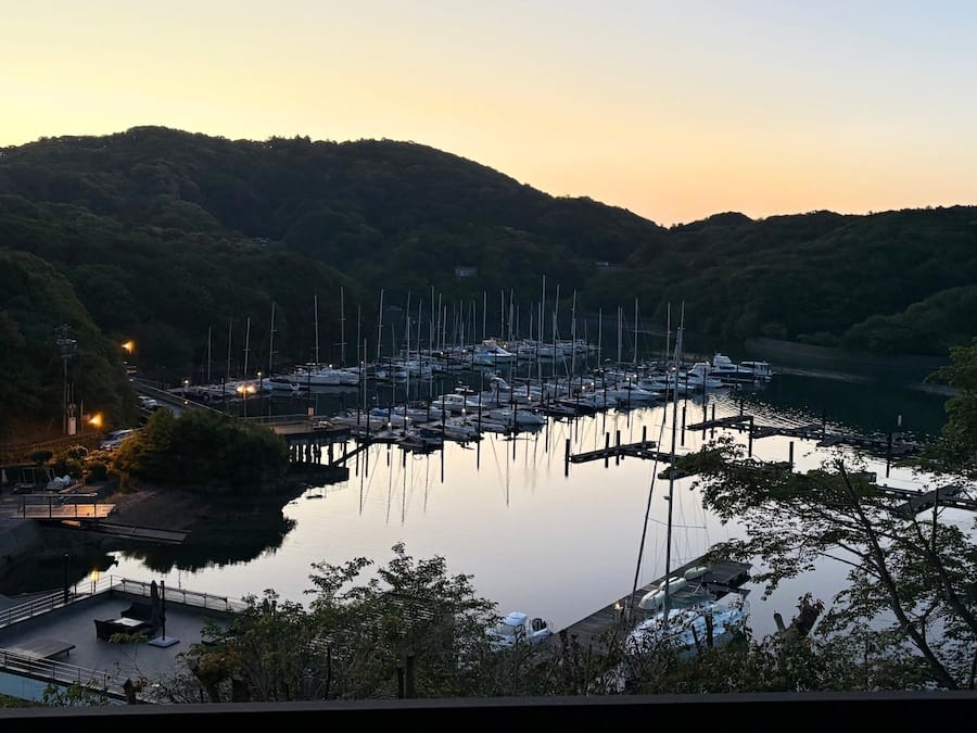 A marina with boats docked, surrounded by hills and trees.