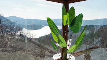 Panorama-villa - balkon - søudsigt | Søudsigt