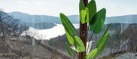 Villa Panoramique, balcon, vue lac | Vue sur le lac