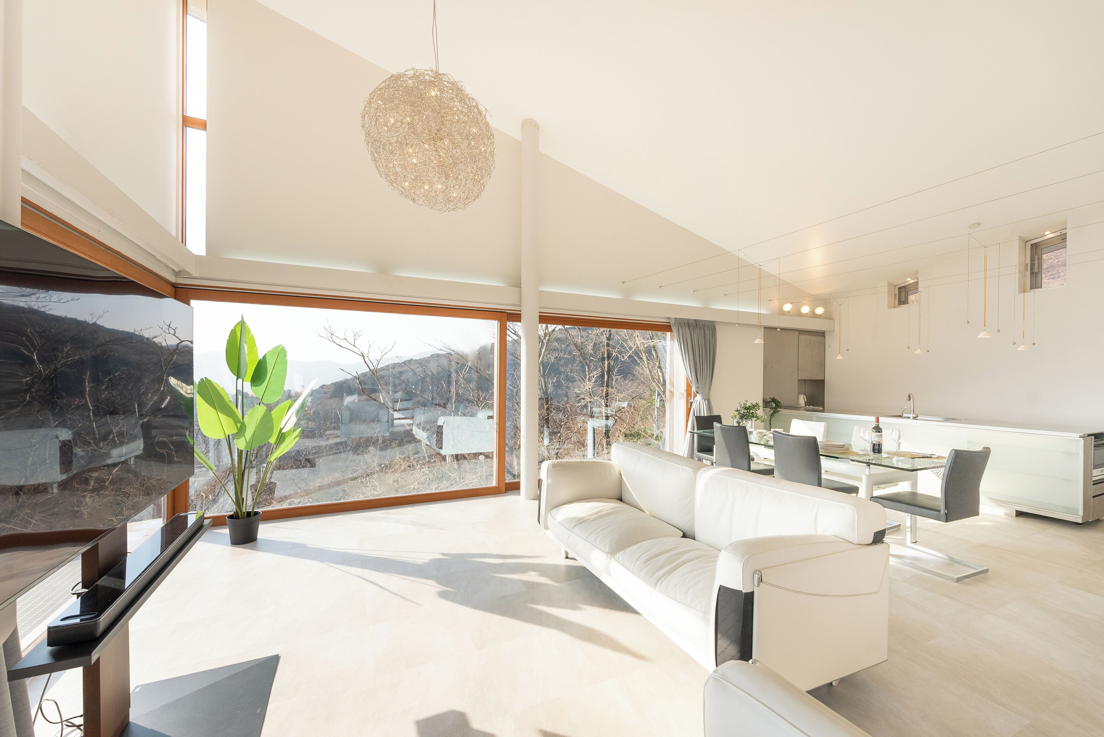 Panoramic Villa, Balcony, Lake View | Living area | 65-inch Smart TV with digital channels, DVD player