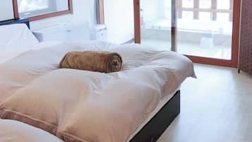 Free WiFi, bed sheets