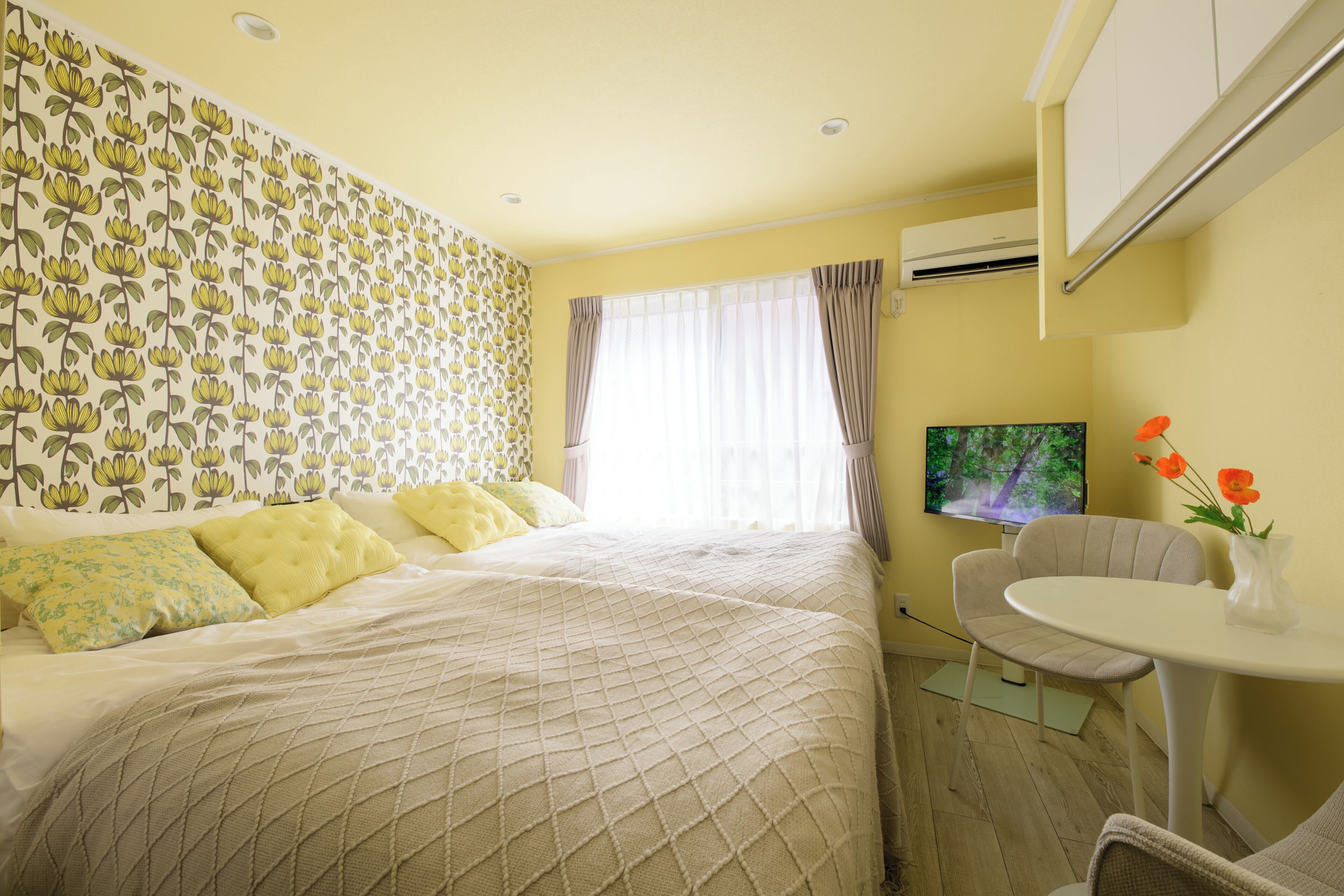 Basic Double or Twin Room, Non Smoking, City View