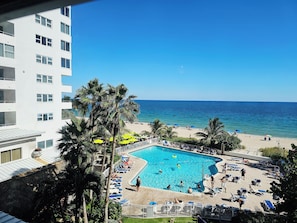 Un espace piscine offrant une vue sur la plage et l’océan, entouré de palmiers et de chaises longues.