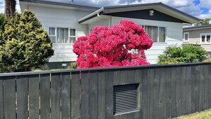 Ett modernt hus i två våningar med en grå fasad, en satellitmottagare på taket och ett trästaket i förgrunden.