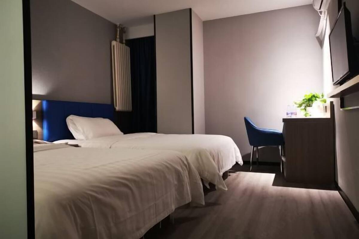 A hotel room with a bed, a desk, a chair, a TV, and a plant.