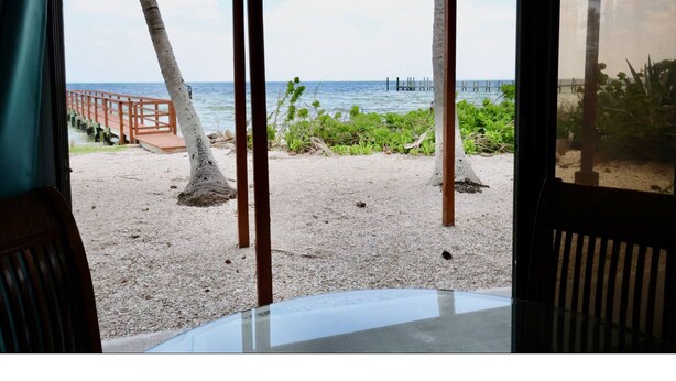 Vista a la playa desde un espacio cubierto con una terraza de madera y palmeras.