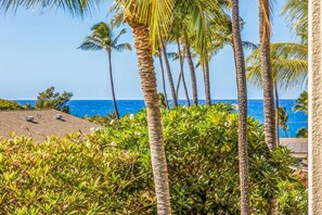 A tropical setting with palm trees and a view of the ocean. - Partial oceanview 1 bedroom condo, AC, across from beach, near shops & dining (Kihei)