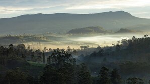 A misty landscape with rolling hills and dense forests. - Ruvinya Hills Luxury Bungalow (Lindula)