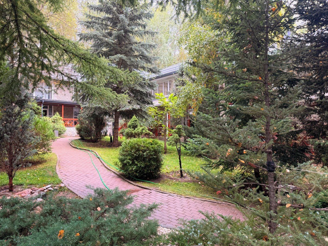 A garden pathway leading to a building with a red roof, surrounded by various trees and shrubs.