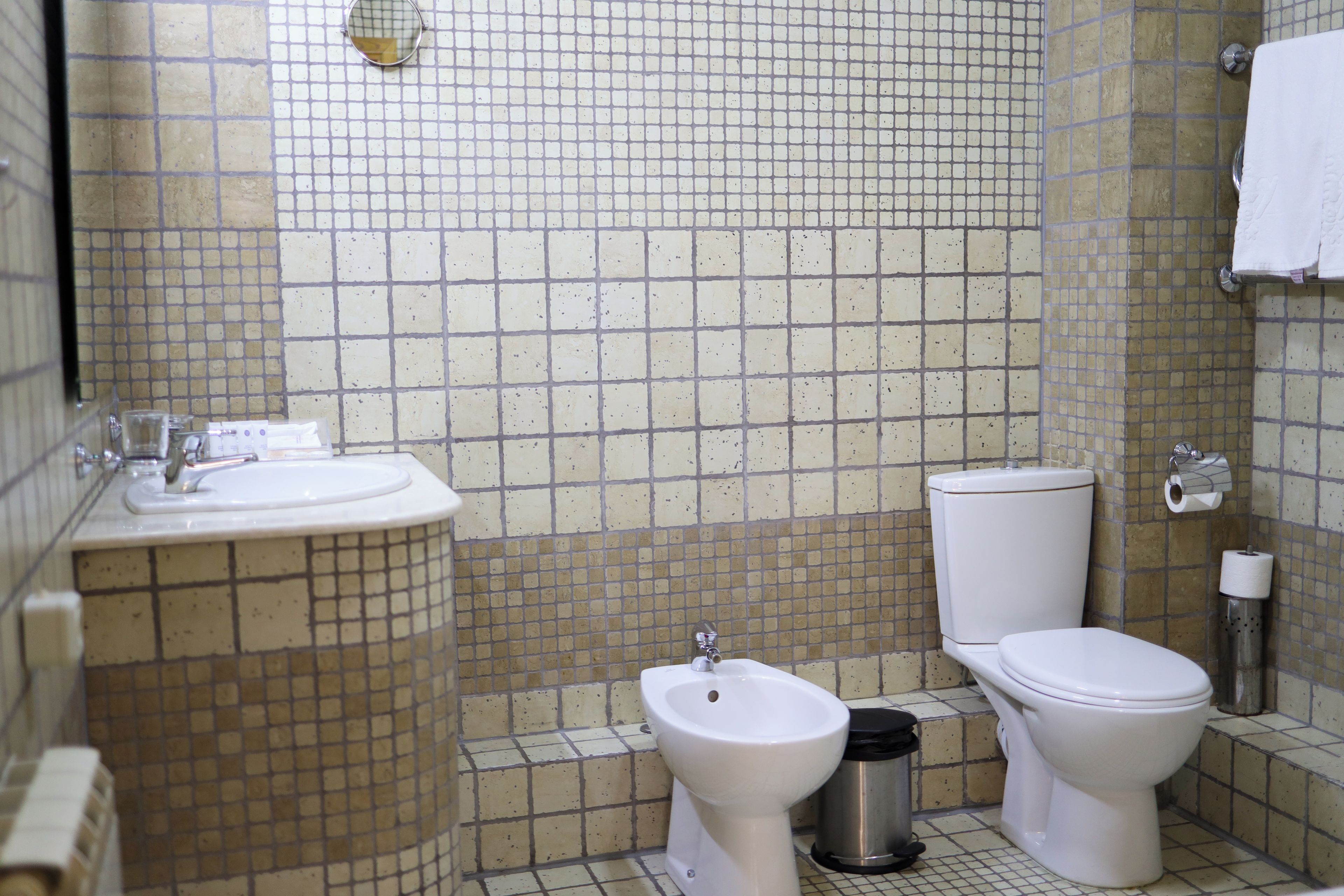 Een kleine badkamer met een wastafel, toilet en douchetoilet.