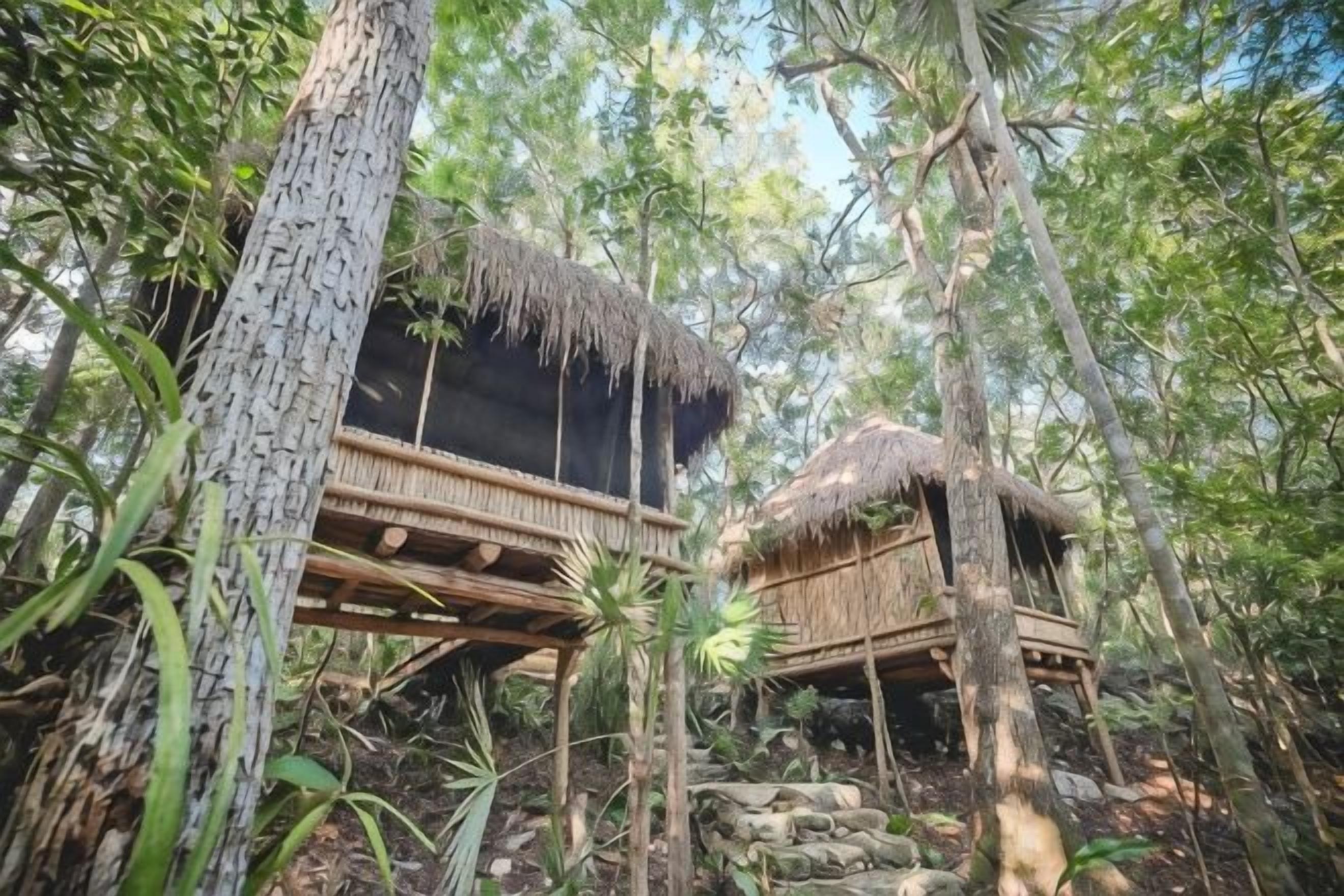 Dos construcciones con techo de paja elevadas entre árboles, con el suelo forestal natural a la vista.