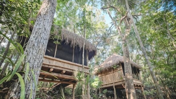 Dos casas en los árboles con techo de paja en un entorno boscoso.