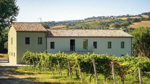 Unclassified image, 3 of 47, button - Italian Experience- Villa Zena (Cupramontana)