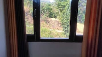 Deluxe Room | Rollaway beds, free WiFi, bed sheets