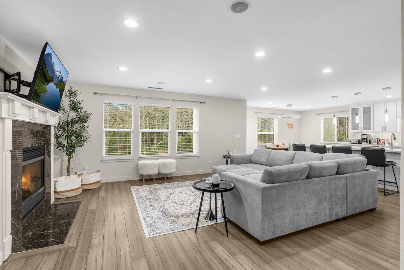 TV, fireplace, stereo