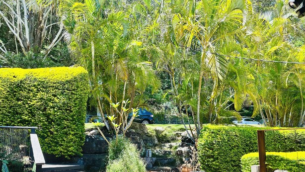 Une terrasse en bois avec des marches menant à un jardin agrémenté de diverses plantes et d’un petit étang.