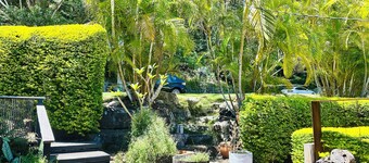 Tranquil tree top cottage in Terrigal Beach