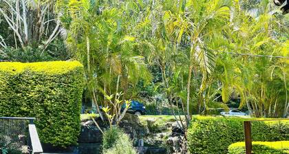 Tranquil tree top cottage in Terrigal Beach