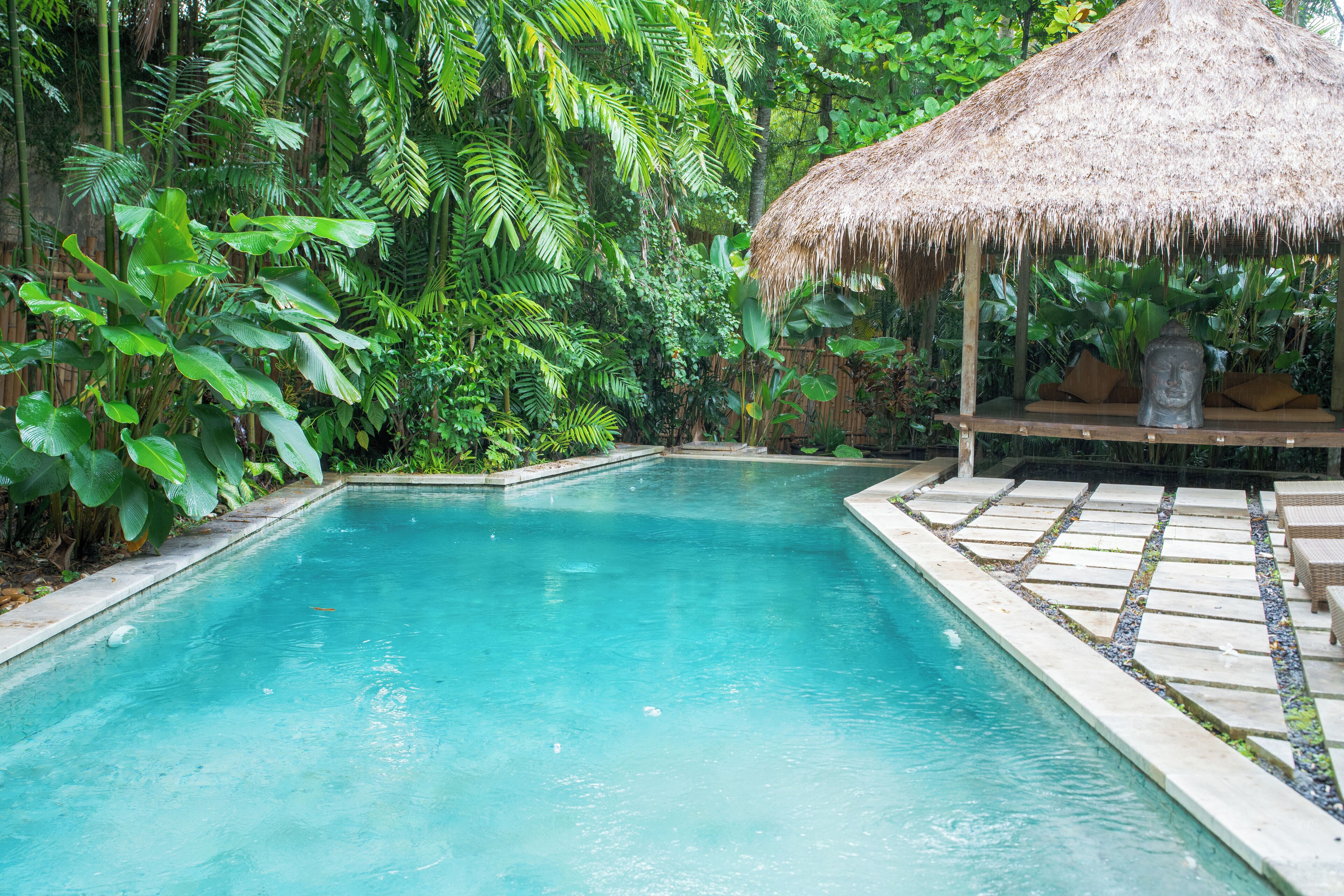 A clear blue pool surrounded by lush greenery and a thatched-roof gazebo.