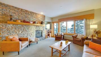 Televisión, chimenea y libros