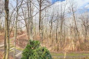 Miscellaneous - Quiet Family Cabin in Balsam: Hike, Ski, Explore (Balsam)