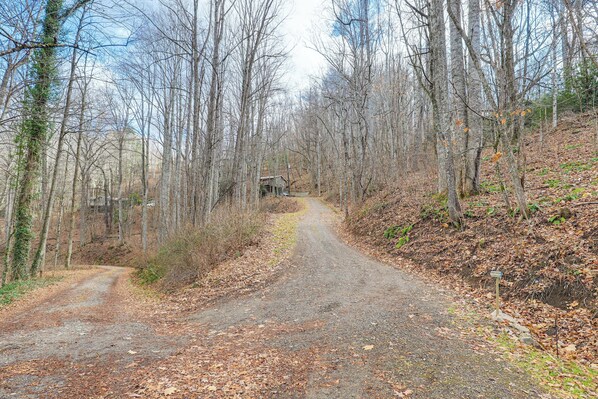 Miscellaneous - Quiet Family Cabin in Balsam: Hike, Ski, Explore (Balsam)