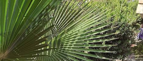 تفاصيل الفندق من الخارج