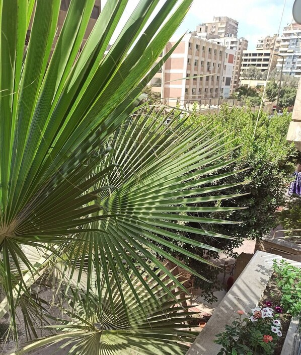 Exterior detail - Welcoming 3-bedroom apartment with AC in vibrant Cairo Governorate (Cairo Governorate)
