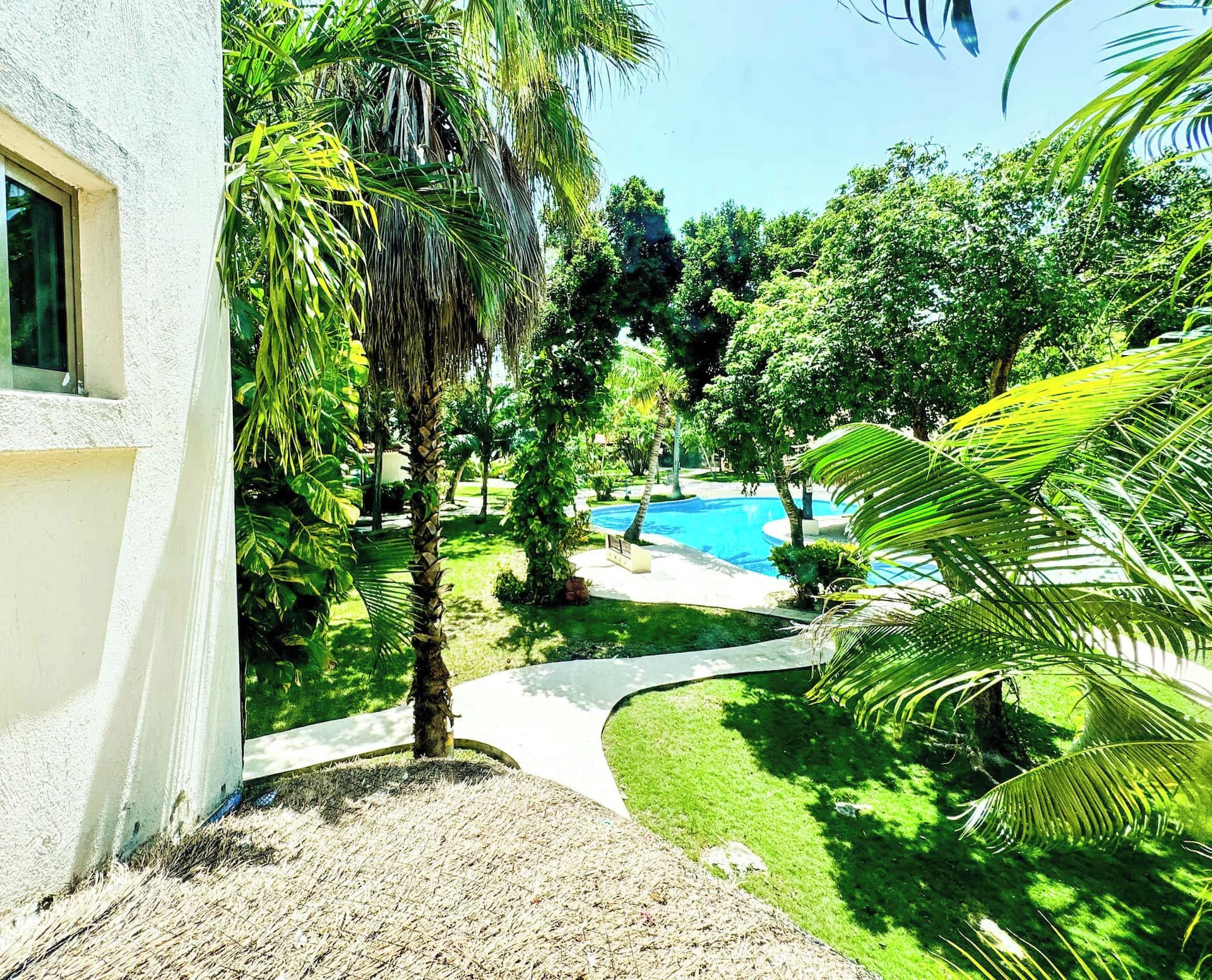 A pool area with a clear blue pool, surrounded by lush greenery and palm trees.