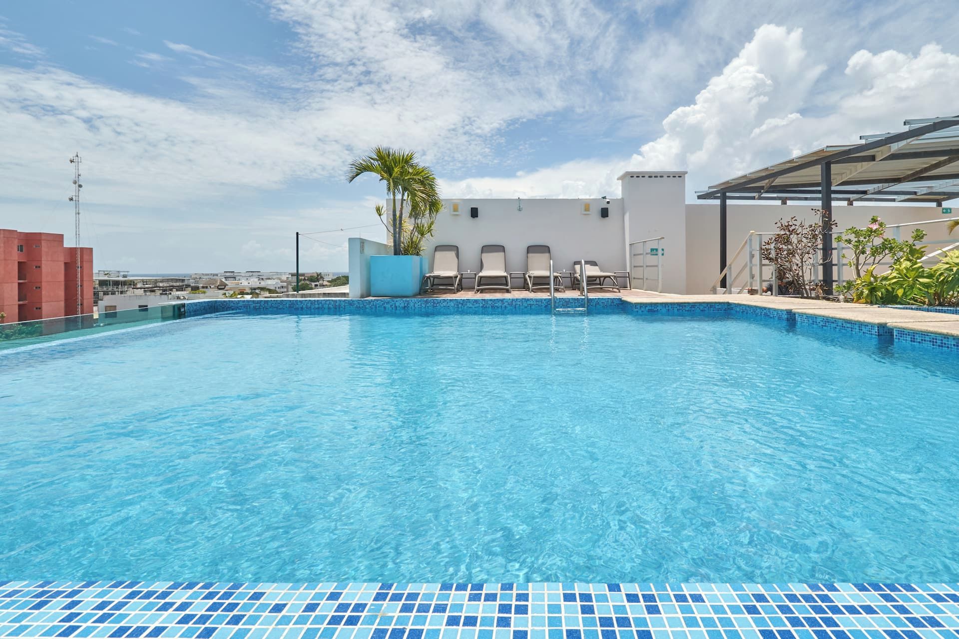 A clear blue swimming pool with a tiled edge, surrounded by lounge chairs and a palm tree.