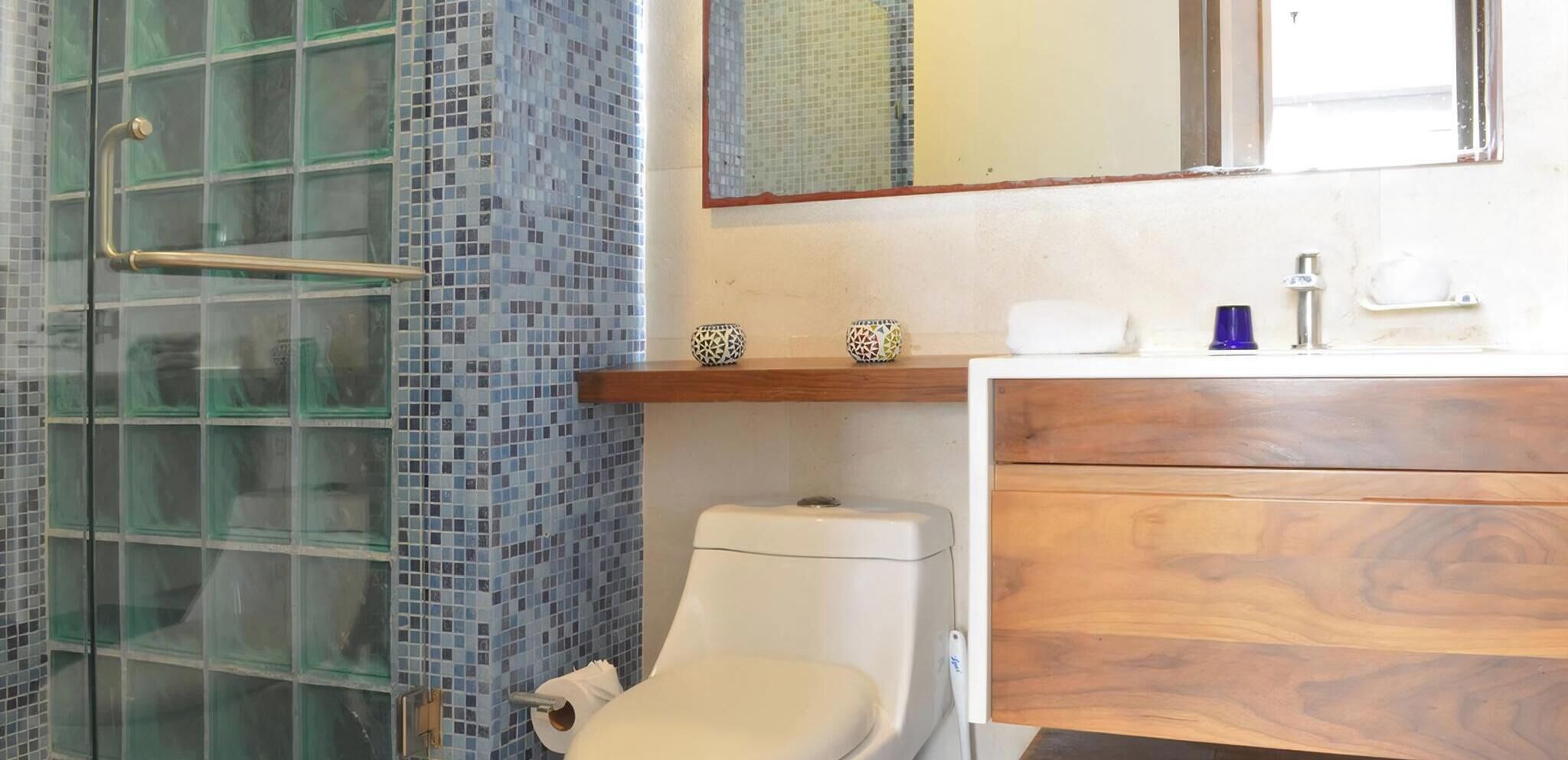 Hair dryer, soap, shampoo