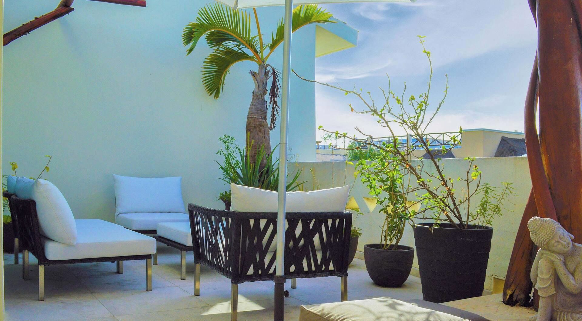Terraza o patio