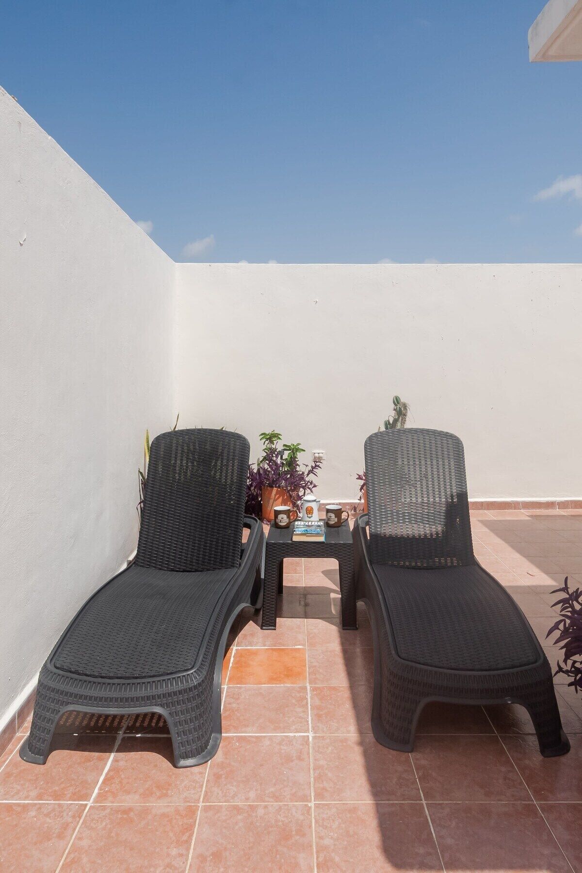 Terraza o patio
