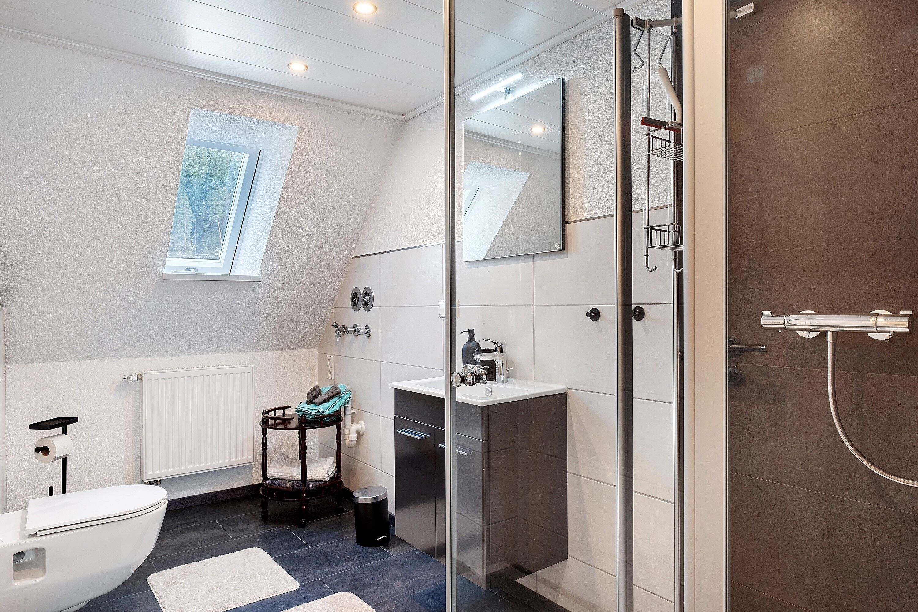 Shower, free toiletries, hair dryer, towels