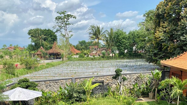 A swimming pool with a tiled pattern, surrounded by greenery and a stone wall. - Omnni Villa Borobudur (Borobudur)