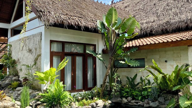 Ein Haus mit einem Strohdach, ein Teich mit Steinen und Pflanzen, sowie verschiedene tropische Gewächse.