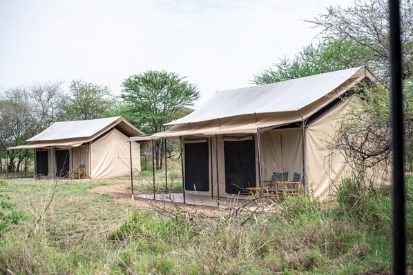 Terrace/patio - Maisha Serengeti Camps (Serengeti)