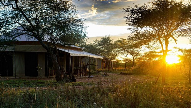 A building with a long corridor and large windows, surrounded by trees and grass. - Maisha Serengeti Camps (Serengeti)