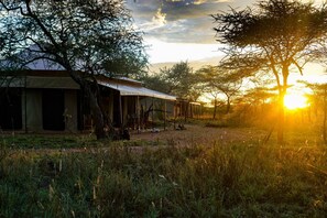 Front of property - Maisha Serengeti Camps (Serengeti)