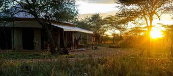 Maisha Serengeti Camps