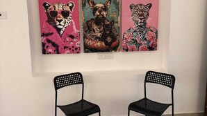 Eine Galerie mit drei Leopard-Gemälden an einer weißen Wand, zwei schwarzen Stühlen und einem gemusterten Teppich.
