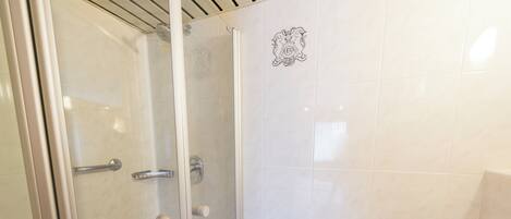 A glass-enclosed shower with a handrail, a towel rack, and a toilet paper holder on the wall.